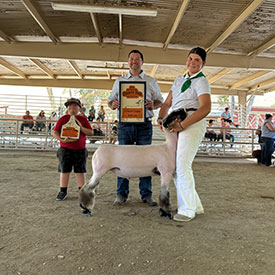 Lily Doty
Reserve 4-H Champion Market Lamb
Champion Junior Showman
2024 San Benito County Fair