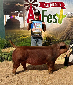 Bob May Livestock Winners