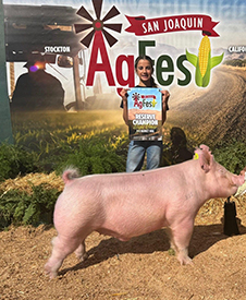 Bob May Livestock Winners