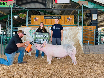 Bob May Livestock Winners