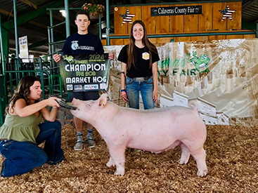 Bob May Livestock Winners