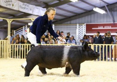 Bob May Livestock Winners