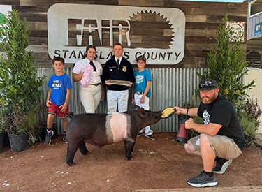 Bob May Livestock Winners