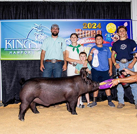 Bob May Livestock Winners
