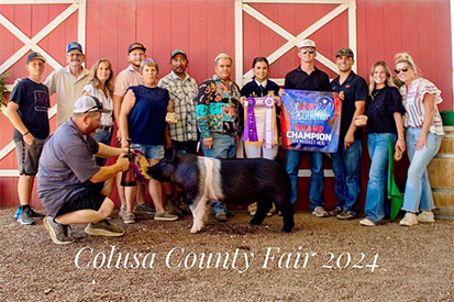 Bob May Livestock Winners