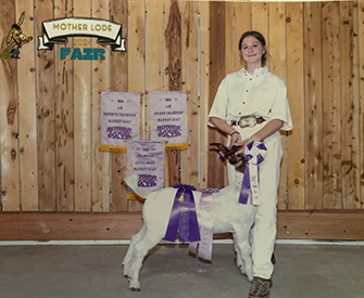 Bob May Livestock Winners