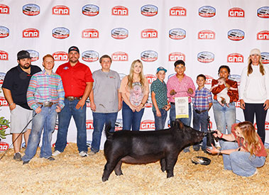Roman Pena
Reserve Champion All Black Gilt
2024 Cow Palace