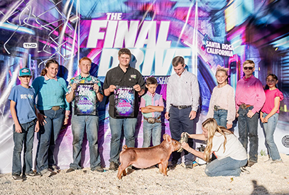 Mitchell Veffredo
Reserve Champion Dark AOB
2024 The Final Drive livestock Show