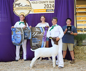 Bob May Winners