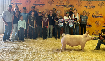 Jordan Soares
Reserve Champion 4-H Yprk
Santa Barbara