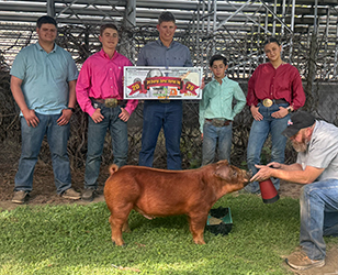 Alex Krug
3rd Overall Duroc Market Hog
Clash For Cash Jackpot