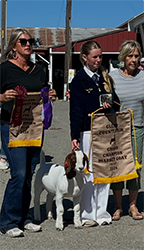Elaine Eden
Overall Supreme Goat
Champion FFA Goat
Glen County Fair