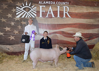 John Gandolfo
Reserve Champion 4-H Hamp
Alemeda County Fair