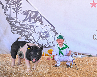 Remi Church
Weight Division Winner
Shasta District Fair
Placwd by Bob May Livestock