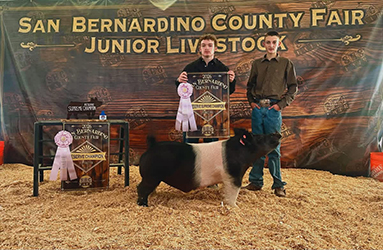 Zach Corbett
Reserve Supreme Market Hog
San Bernadino Fair