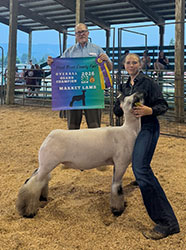 Piper Jones
Overall Grand Champion Market Lamb
Champion 4-H Market Lamb