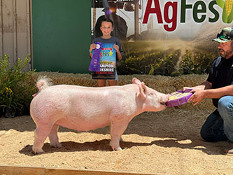 Kaia Bogetti
Reserve 4-H York
San Joaquin County Ag Fest