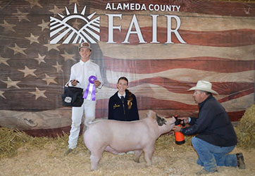 Kailey Godalfo
Champion Light FFA Cross
Alameda County Fair