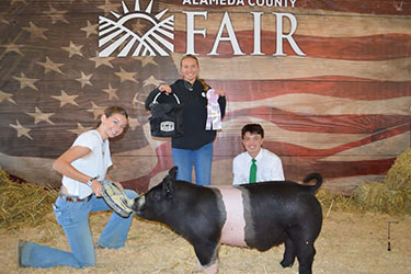John Gandolfo
Reserve Champion 4-H Hamp
Alameda County Fair